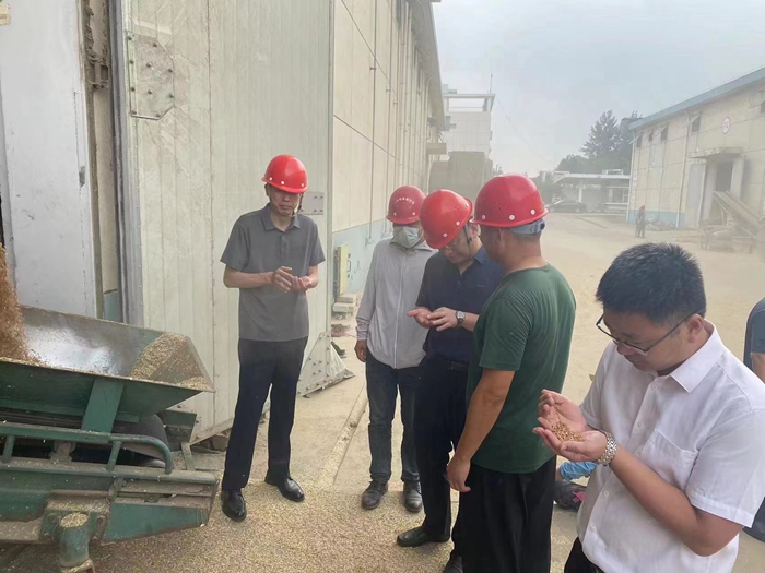 519c1ec42bb272f03cfd19206fae2b9 519c1ec42bb272f03cfd19206fae2b9