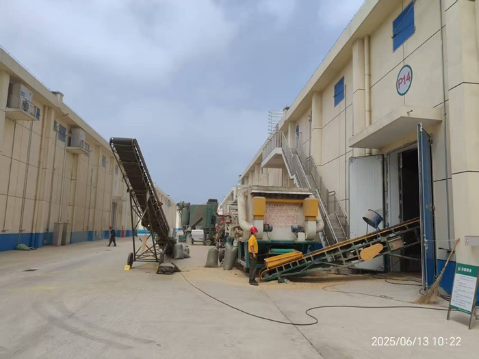 淮糧儲備公司多措并舉做好省級儲備小麥收購工作